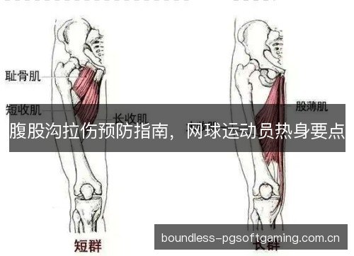 腹股沟拉伤预防指南，网球运动员热身要点